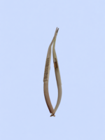 Castroveijo Needle Holder - Imagen 3
