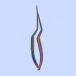Castroveijo Scissors