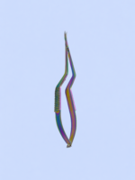 Castroveijo Scissors