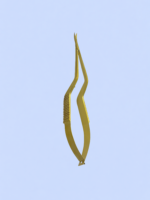 Castroveijo Scissors - Imagen 2