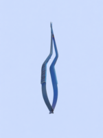 Castroveijo Scissors - Imagen 3