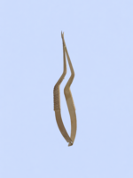 Castroveijo Scissors - Imagen 4