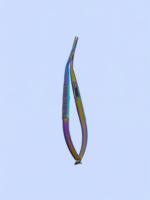 Castroveijo Needle Holder
