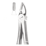 Extracting Forceps (Upper Latetrals and Canines)