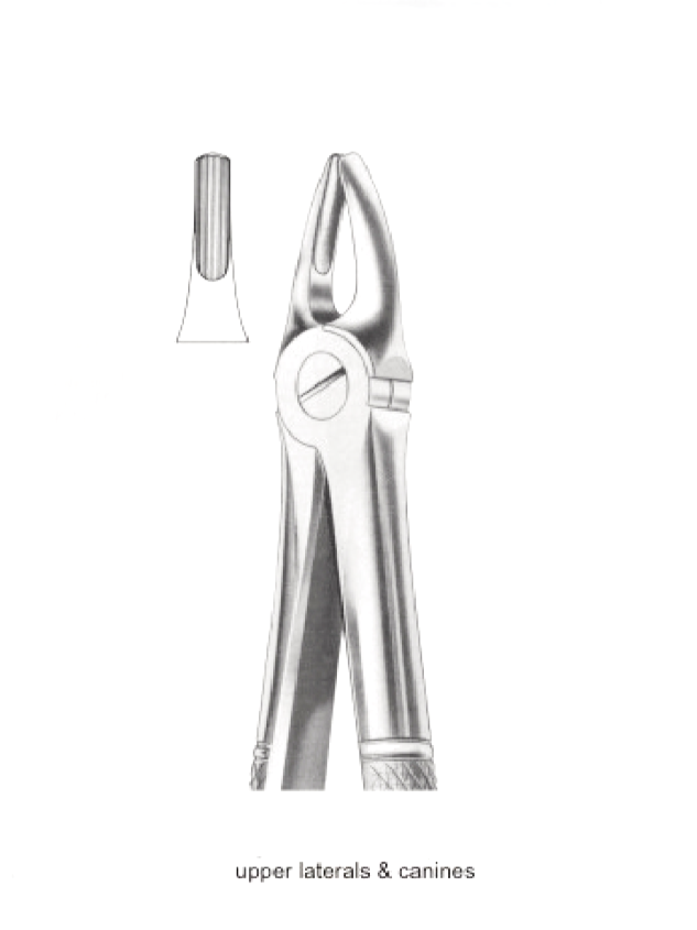 Screenshot 2026-08-27 162834 Extracting Forceps (Upper Latetrals and Canines) - Imagen 1